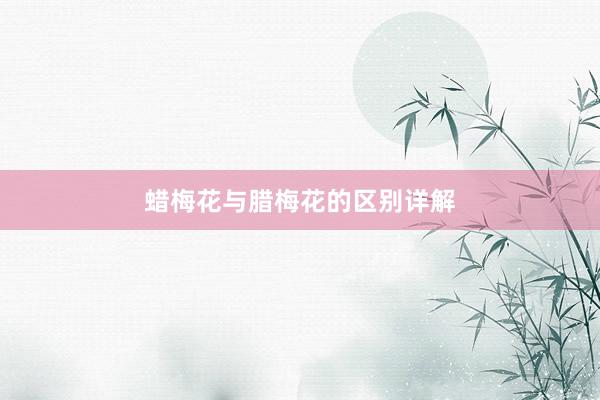 蜡梅花与腊梅花的区别详解